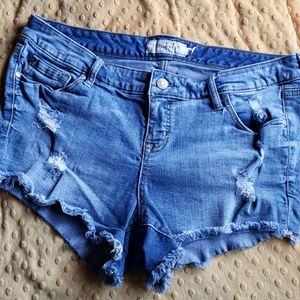 Torrid shorts